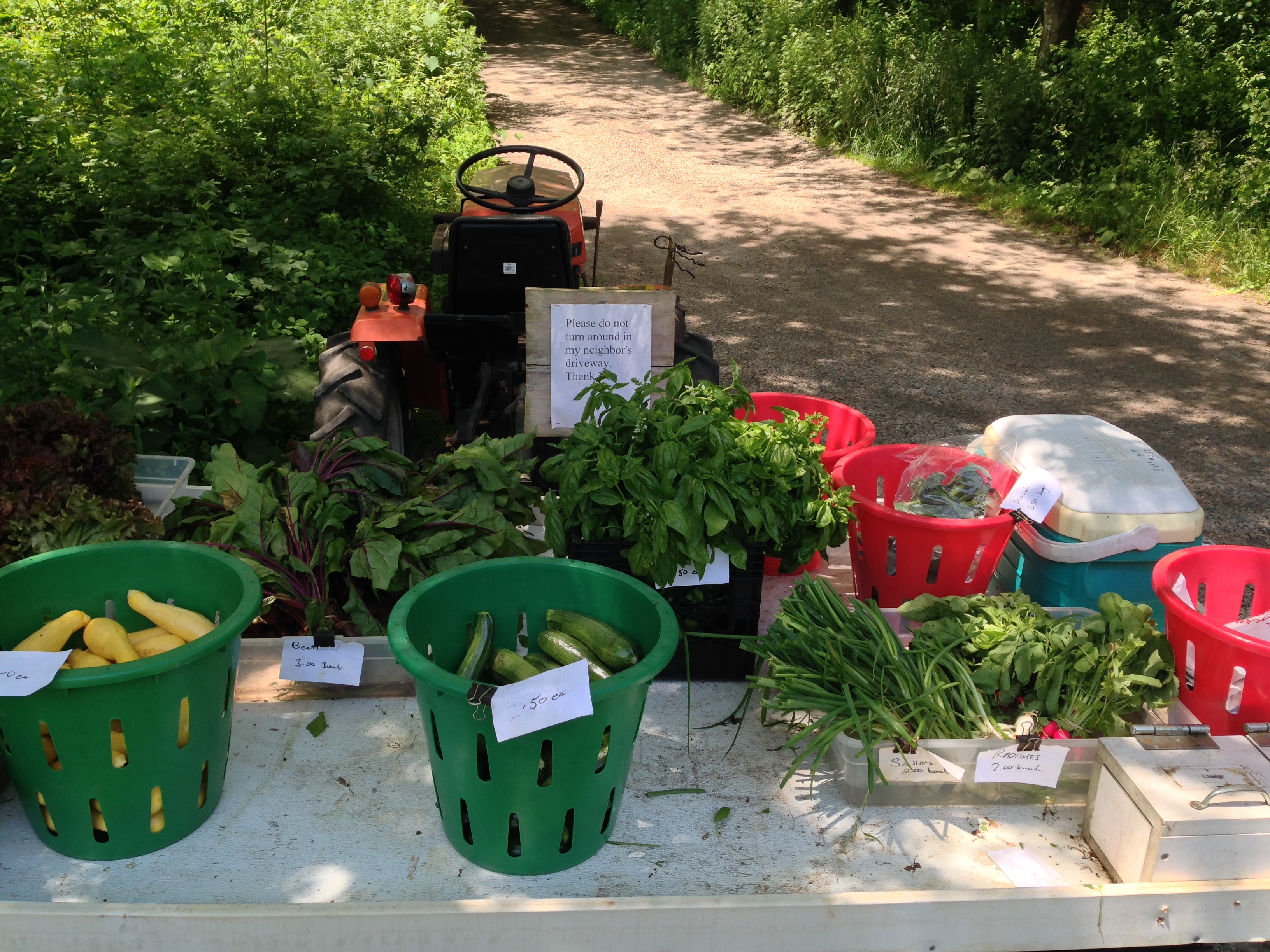 Reflections On A Farm And A Farmhand