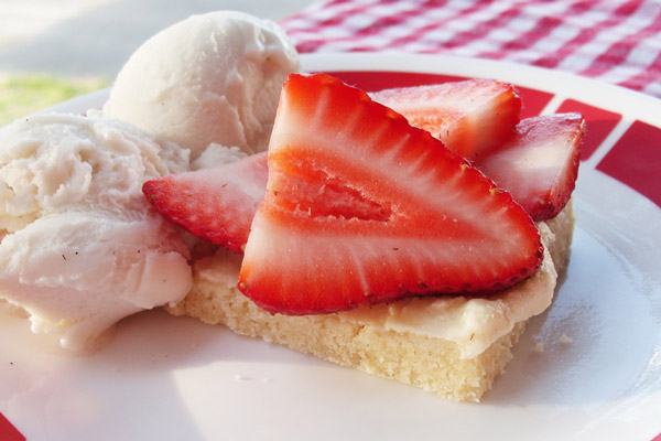 Strawberry-Shortbread-Bars-A-delicious-dairy-free-recipe-for-barbecues-potlucks-and-more-vegan-too-3