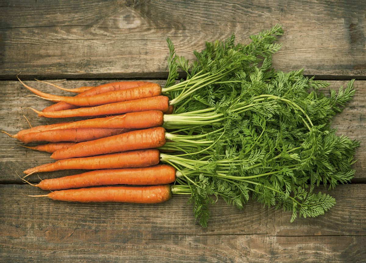 5 Reasons You Should Eat More Carrots: The Benefits Of Carrots