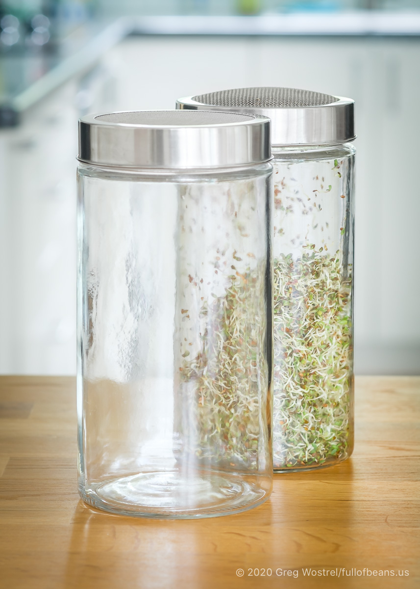 Large capacity glass sprouting jars for growing your own sprouts at home
