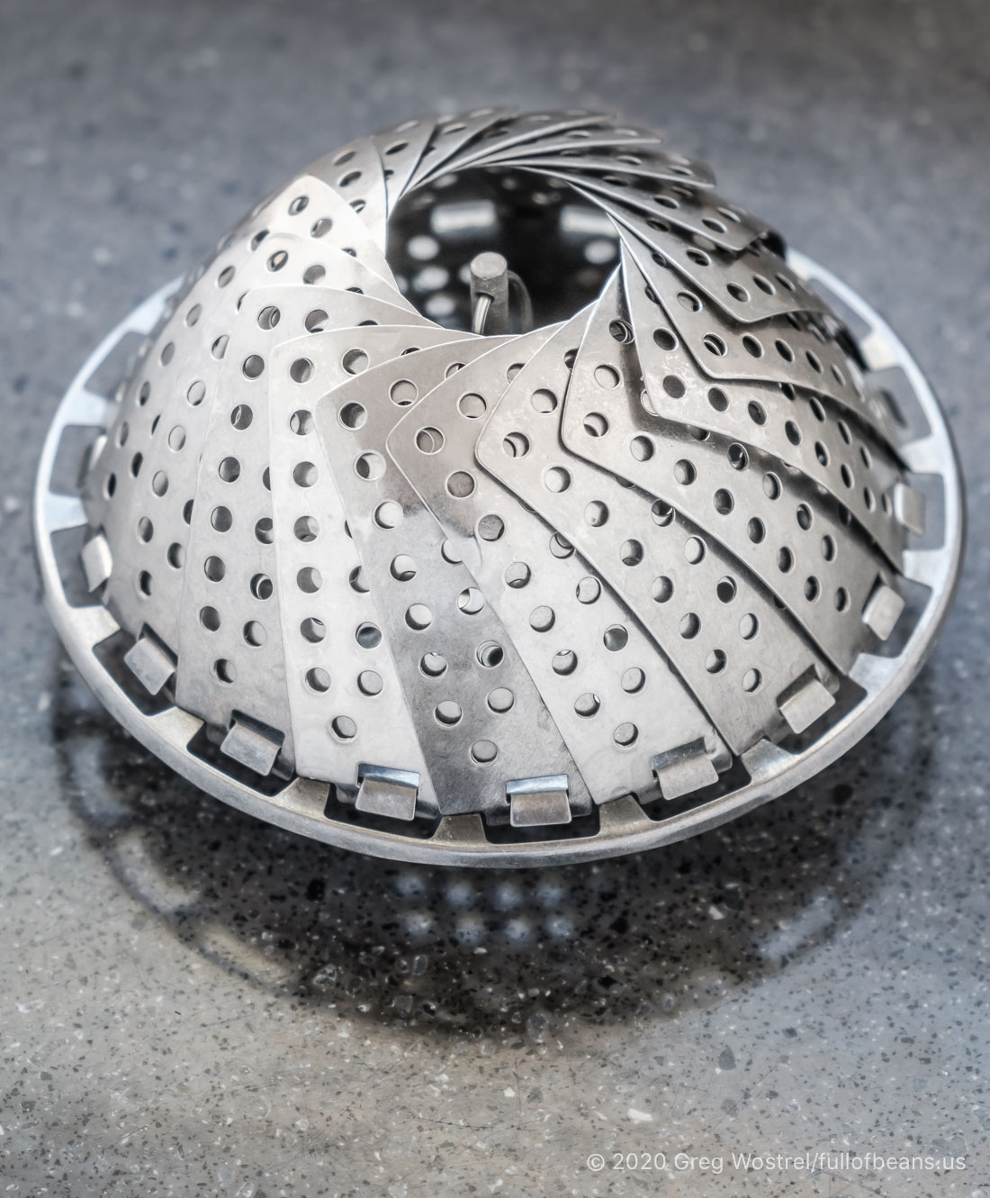 Veggie Steamer Full of Beans